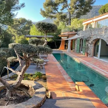 Les Pins * Le Lavandou